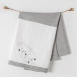 بطانية مرحباً بالطفل الصغير - أندي واوا